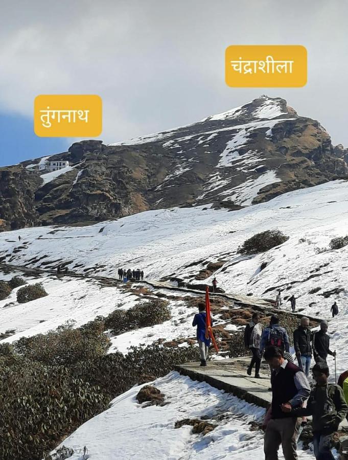 Pandava'S Cafe & Stay Chopta Extérieur photo